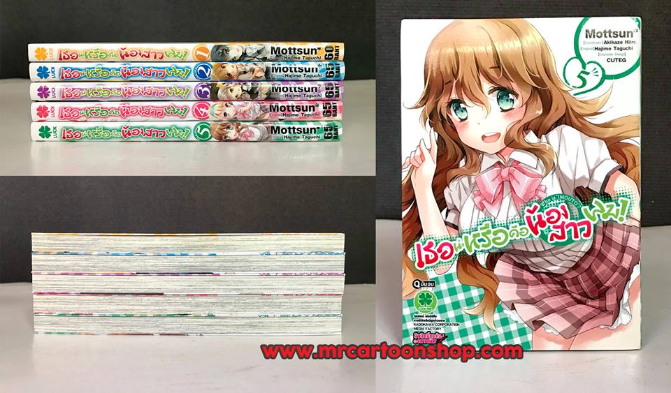 เธอน่ะหรือคือน้องสาวผม 1-5 จบ