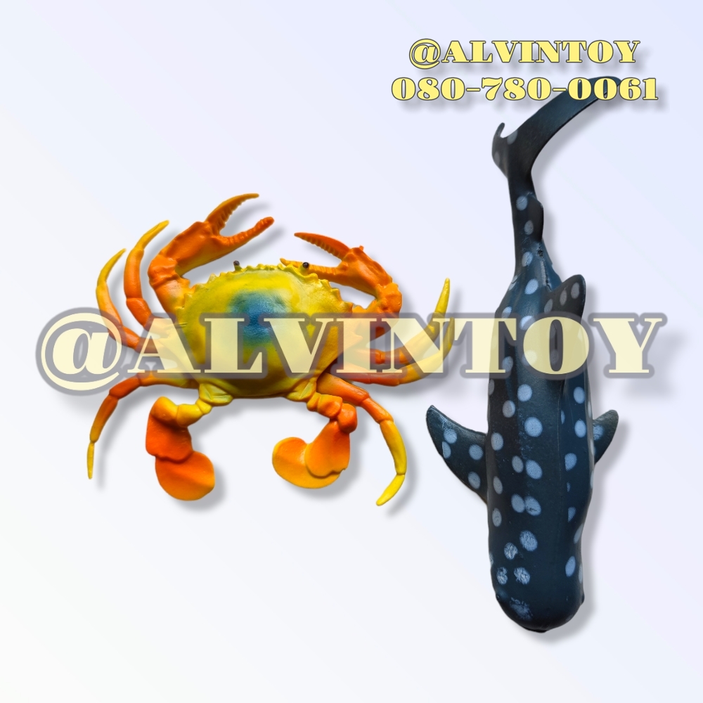 โมเดล Water World - สัตว์ทะเล 12 ตัว