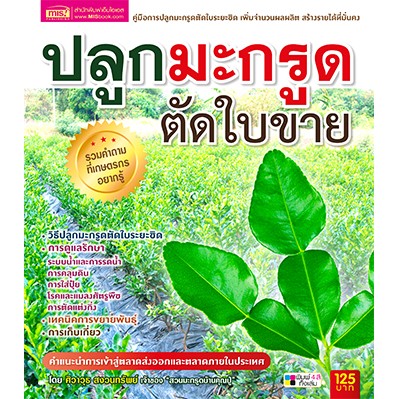 MyISBOOK หนังสือปลูกมะกรูดตัดใบขาย