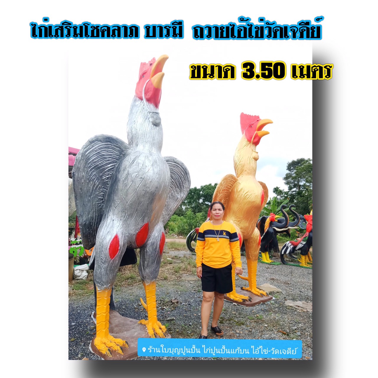 ไก่ปูนปั้นถวายแก้บน-ขอพรตาไข่วัดเจดีย์ ขนาด3.5 เมตร