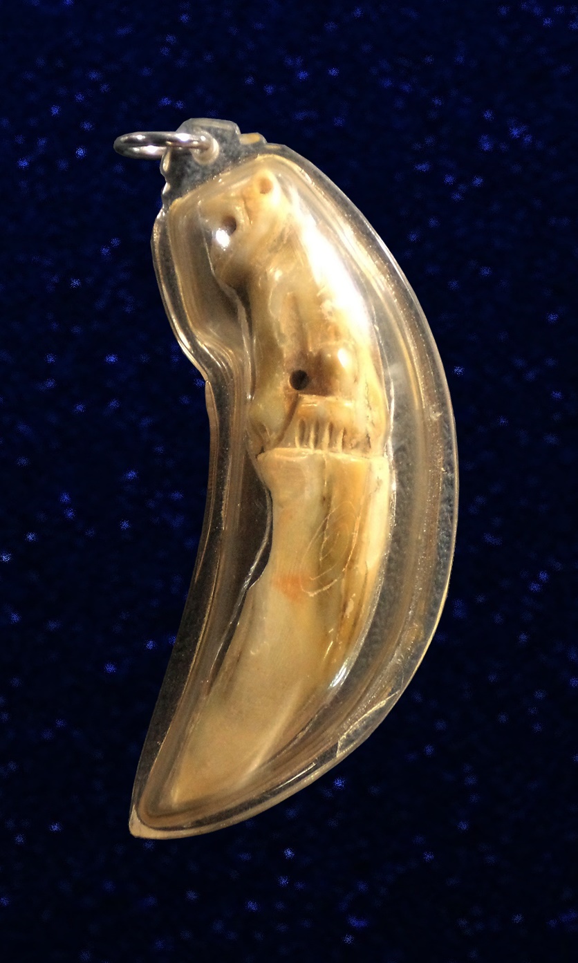 เขี้ยวเสือ หลวงพ่อเปิ่น วัดบางพระ นครปฐม