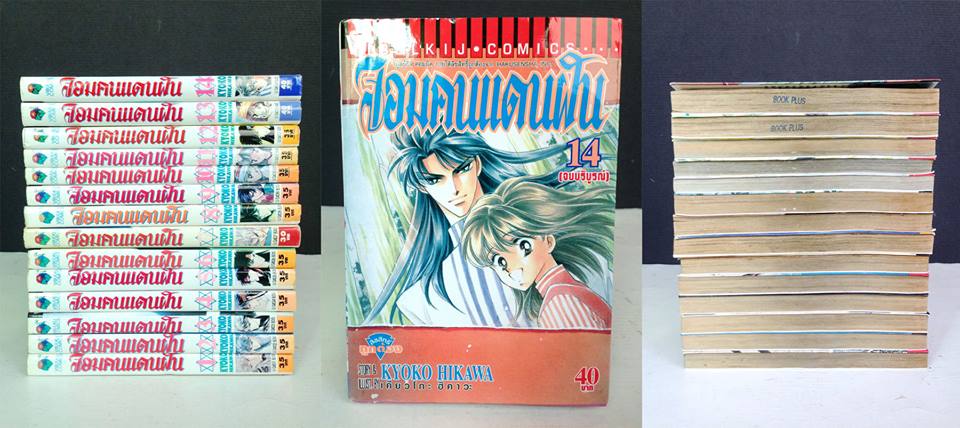 จอมคนแดนฝัน 1-14 จบ