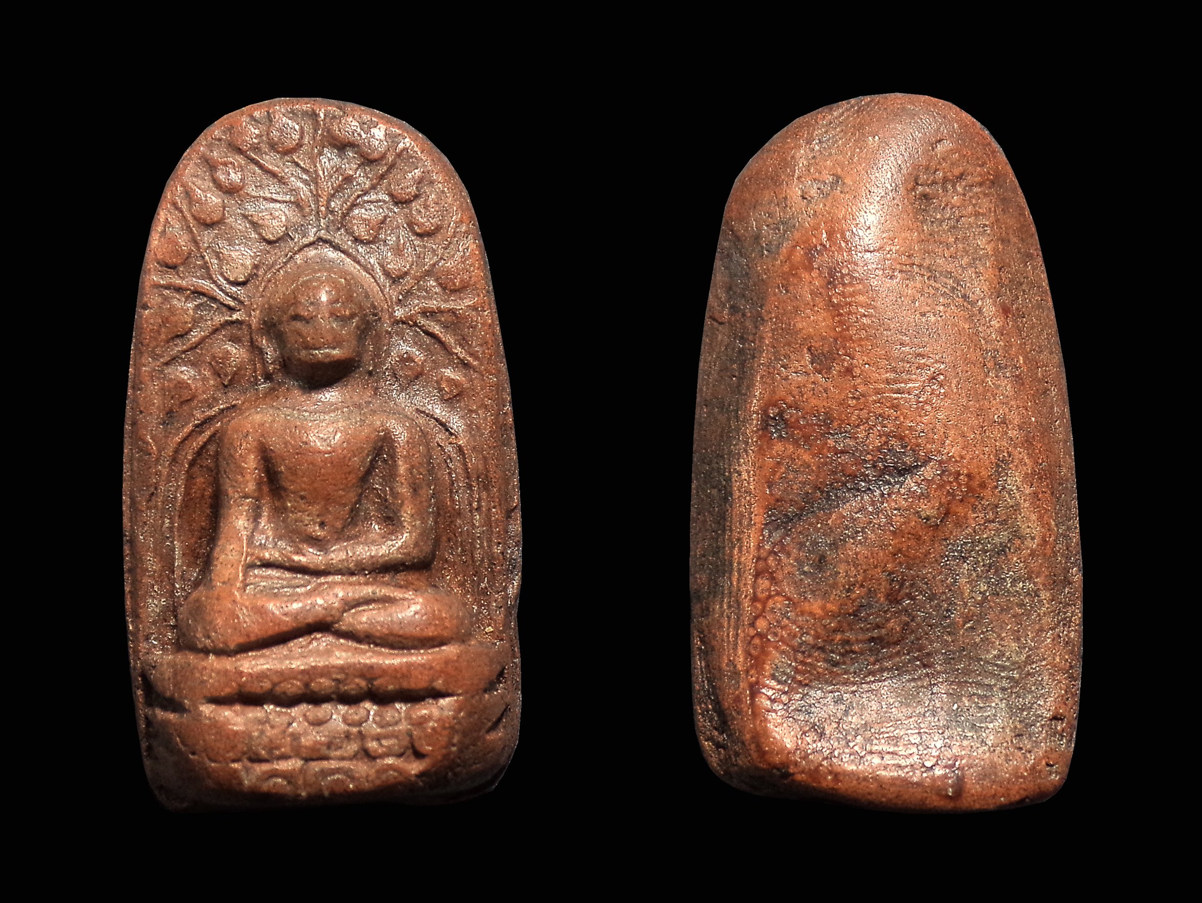 พระคง แปลกดี