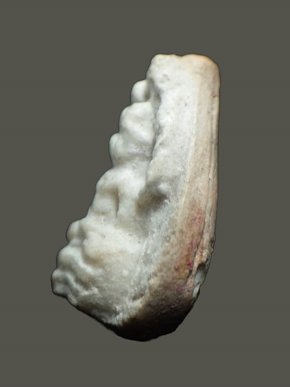 พระผงนาคปรก ใบโพธิ์ เจ้าคุณนรฯ วัดเทพศิรินทร์ กทม. ปี2513