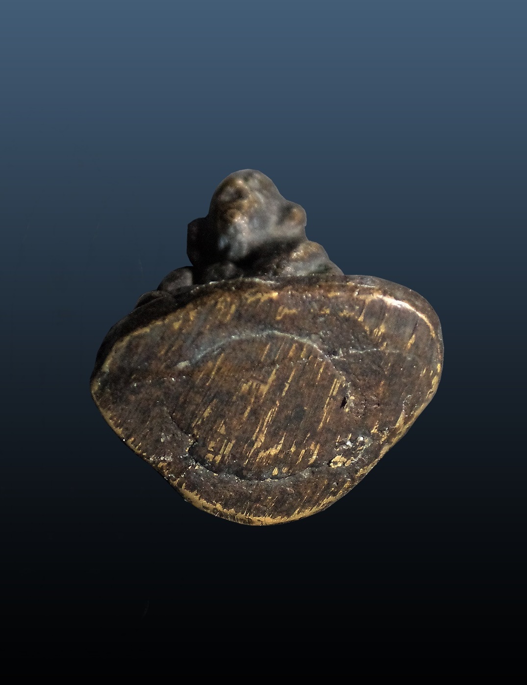 พระหล่อโบราณ พิมพ์หน้าลิงใหญ่ หลวงพ่อเขียน วัดสำนักขุนเณร ออกวัดวังตะกู พิจิตร