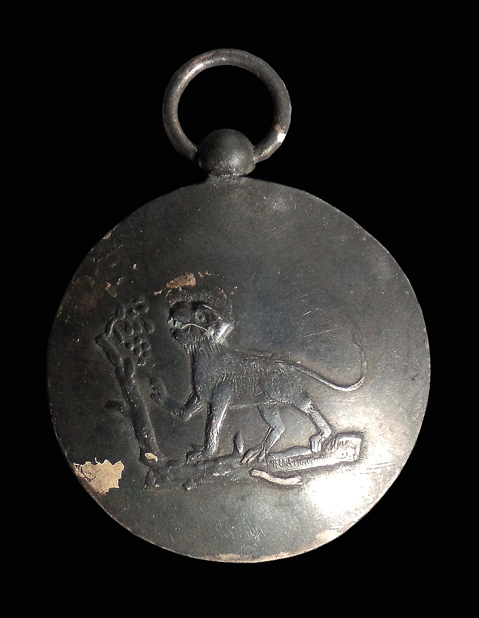 เหรียญเก่าโบราณ รัชกาลที่5 หลังปีวอก