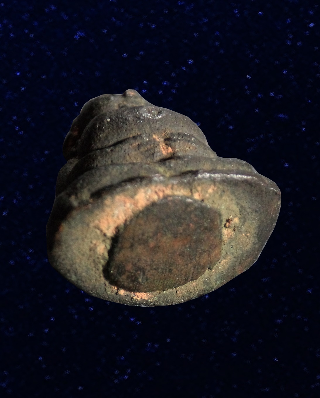 หล่อโบราณ พระสังกัจจายน์ ศิลปะเชียงแสน