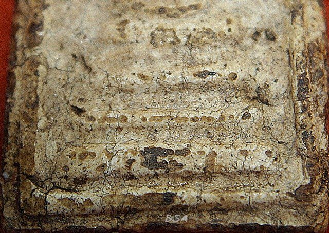 พระสมเด็จ บางขุนพรหม พิมพ์ปรกโพธ์