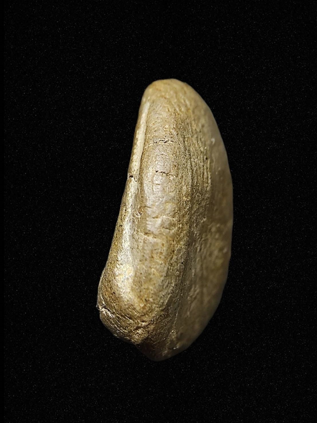 พระนางพญา กรุเขาพระศรี จ.สุโขทัย