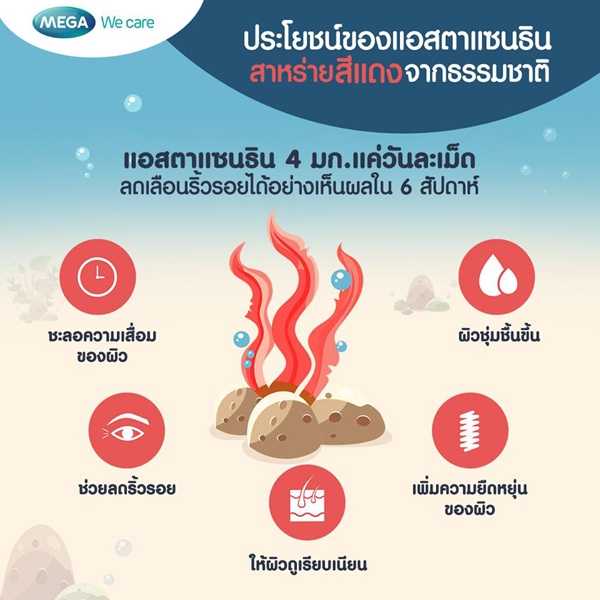 (ซื้อ3 ราคาพิเศษ) Mega we care astax (Astaxanthin) 6mg (30แคปซูล) เมก้า วีแคร์ แอสแท็กซ์ บำรุงผิวลดริ้วรอย (1กล่อง)
