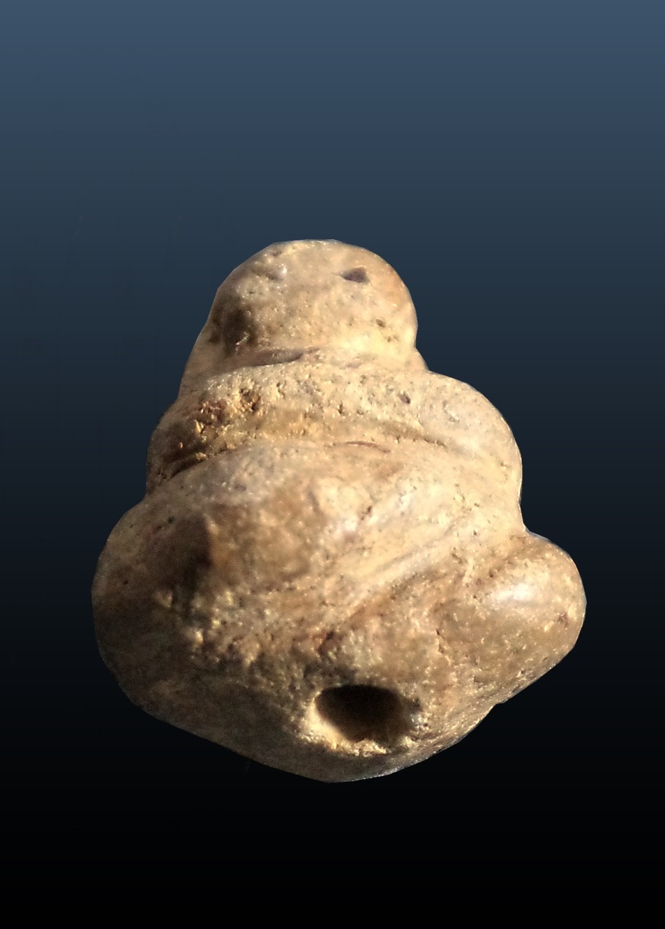 พระสังกัจจายน์ เนื้อผงพุทธคุณ