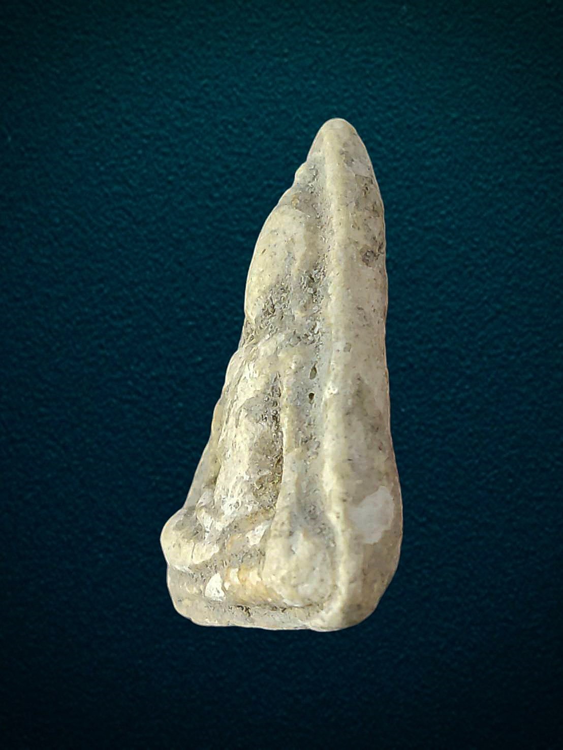 พระนางพญา หลวงปู่นาค วัดระฆัง กทม เนื้อผงพุทธคุณ