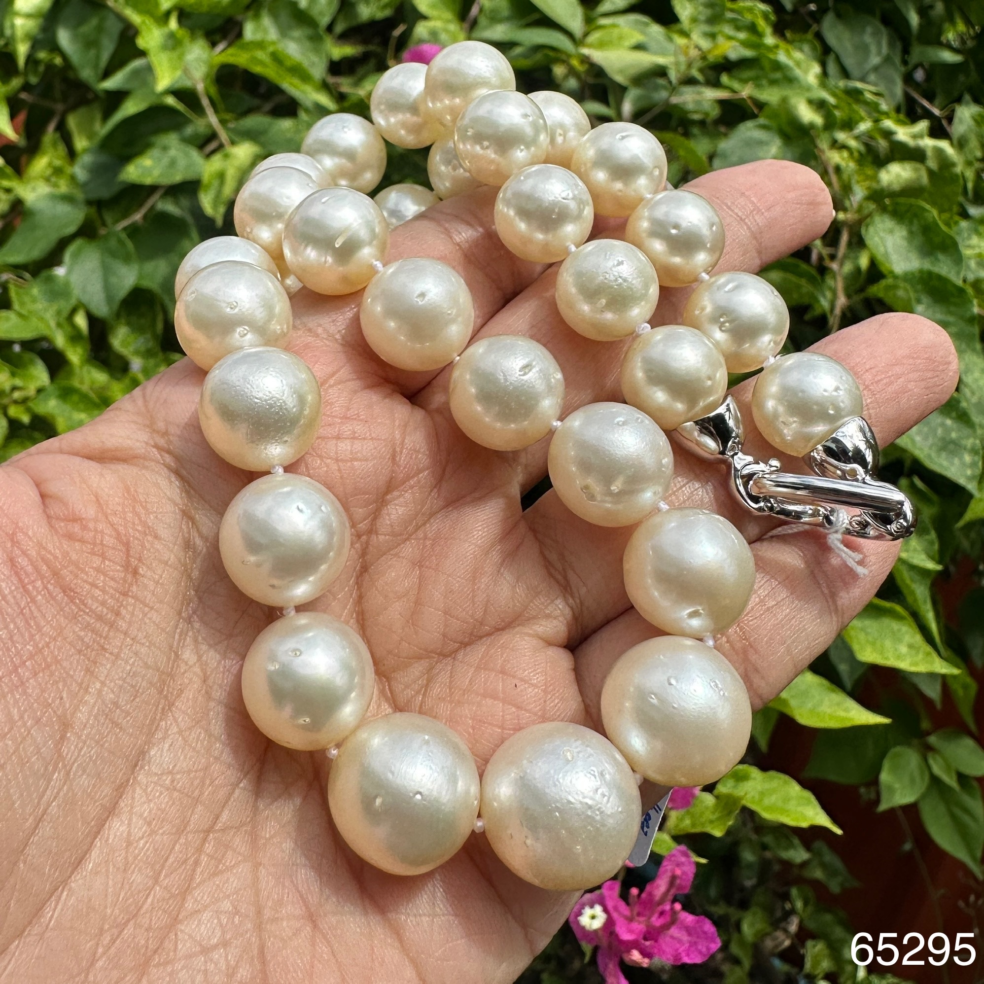 รหัส 65295 สร้อยคอ มุก South sea ออสเตรเลีย 12 - 15.2 มิล รอบเส้น ตะขอเงิน ความยาว 18 นิ้ว ร้อยด้วยเชือก นน. 10