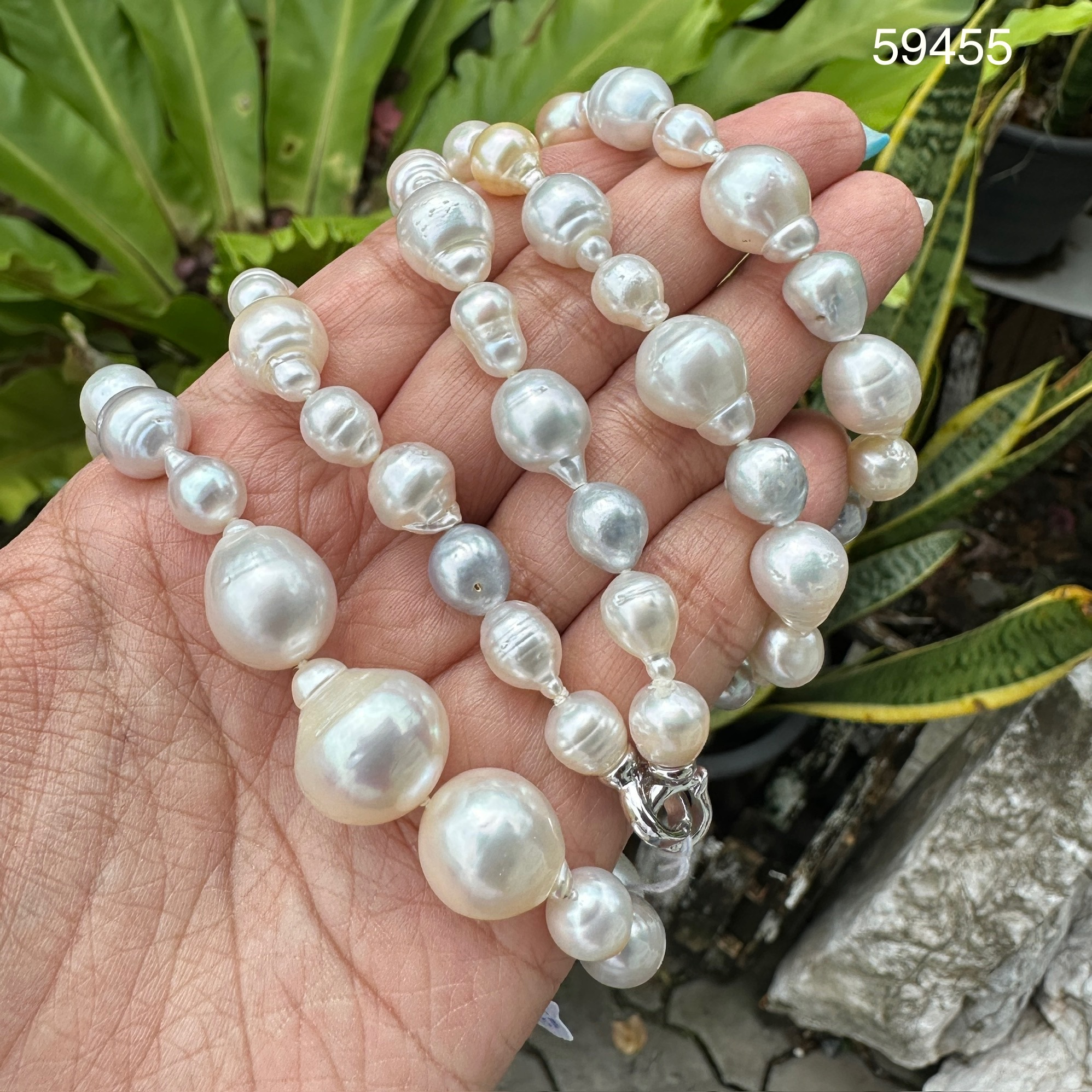 รหัส 59455 สร้อยคอ มุก สีขาว 7 - 15 มิล รอบเส้น ตะขอเงิน925 งานสวยมาก นน. 100.98 g