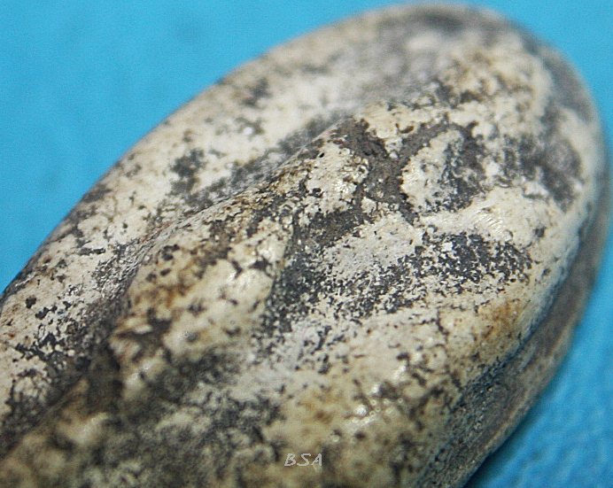 พระสมเด็จ วัดพลับ พิมพ์วันทาเสมา