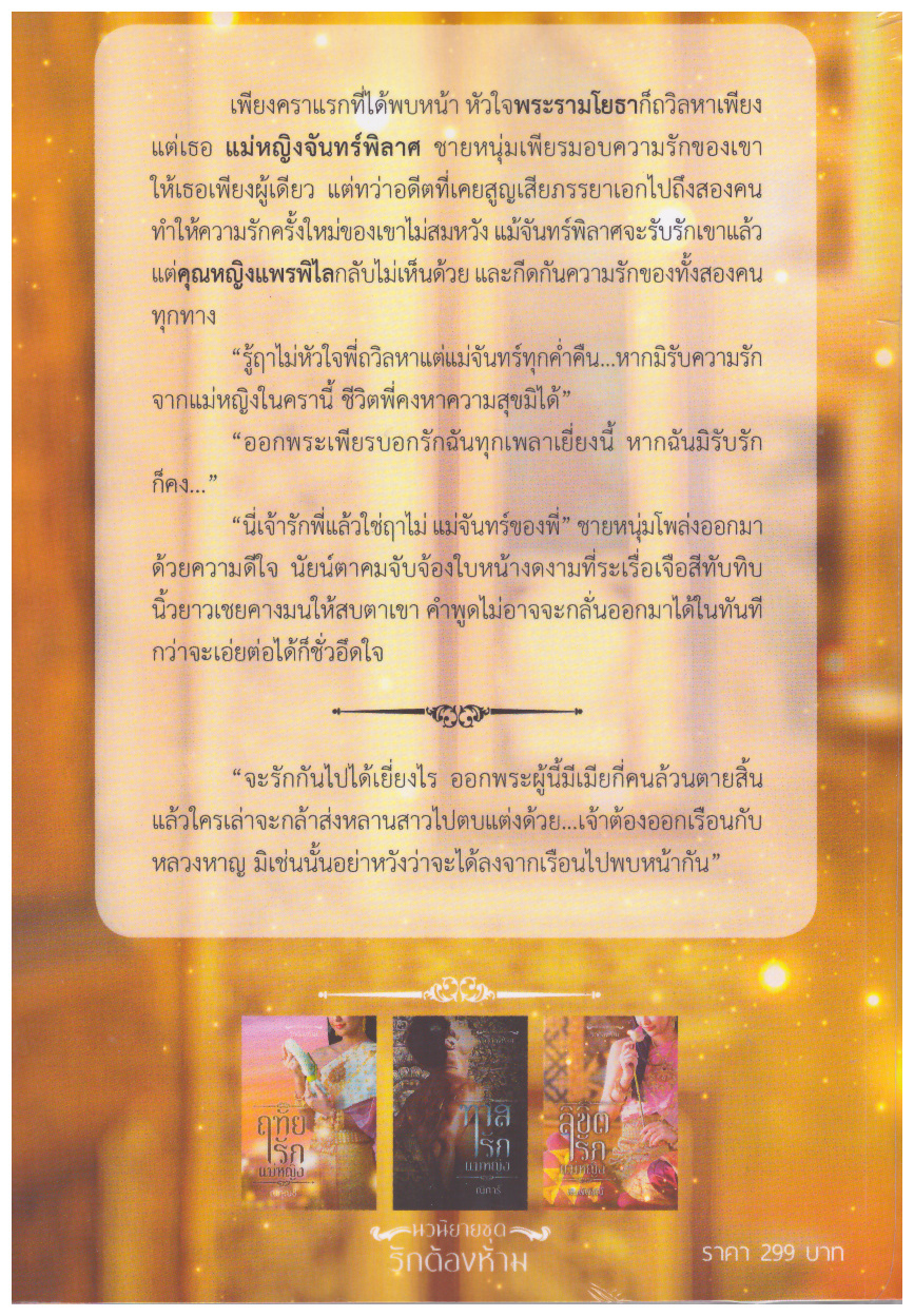 นวนิยายชุด รักต้องห้าม รวม 3 เล่ม( ฤทัยรักแม่หญิง,ทาสรักแม่หญิง ,ลิขิตรักแม่หญิง) (NC18+) / ณกุณช์ ณิการ์ พิมพ์พิชญ์ (ทำมือ ใหม่ แถมฟรีปกพลาสติกใส)