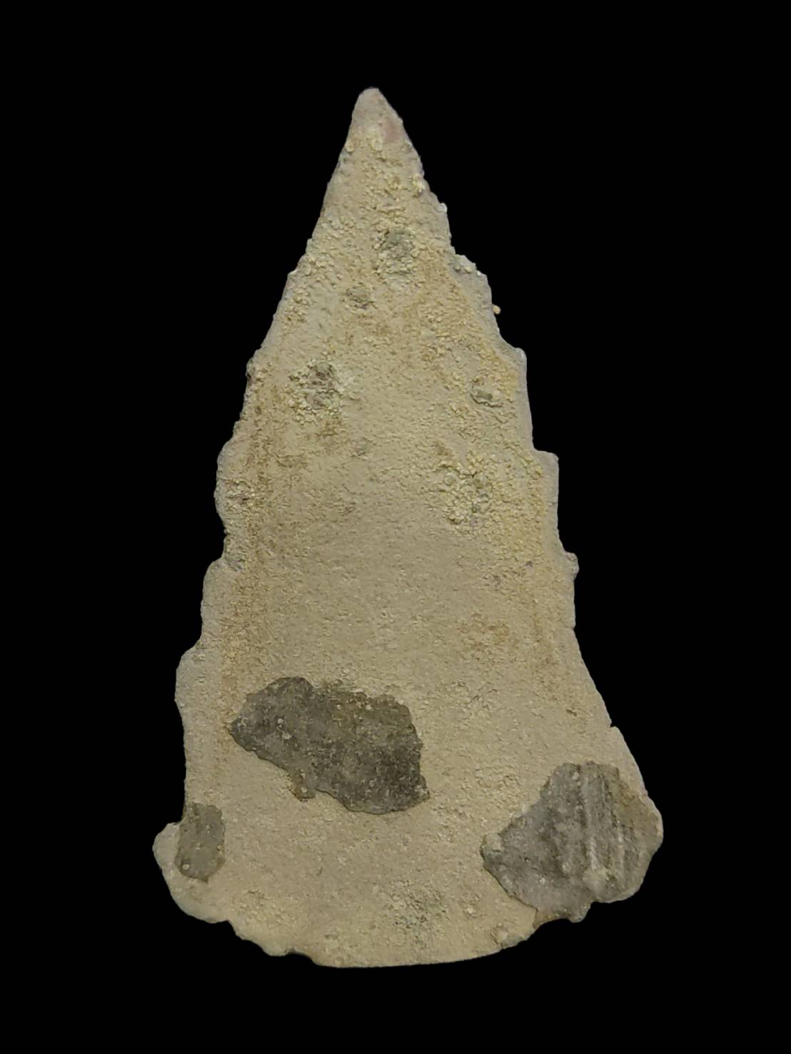 พระเชียงแสนใบหอก ฐานเตี้ย เนื้อชินเงิน กรุจังหวัดน่าน