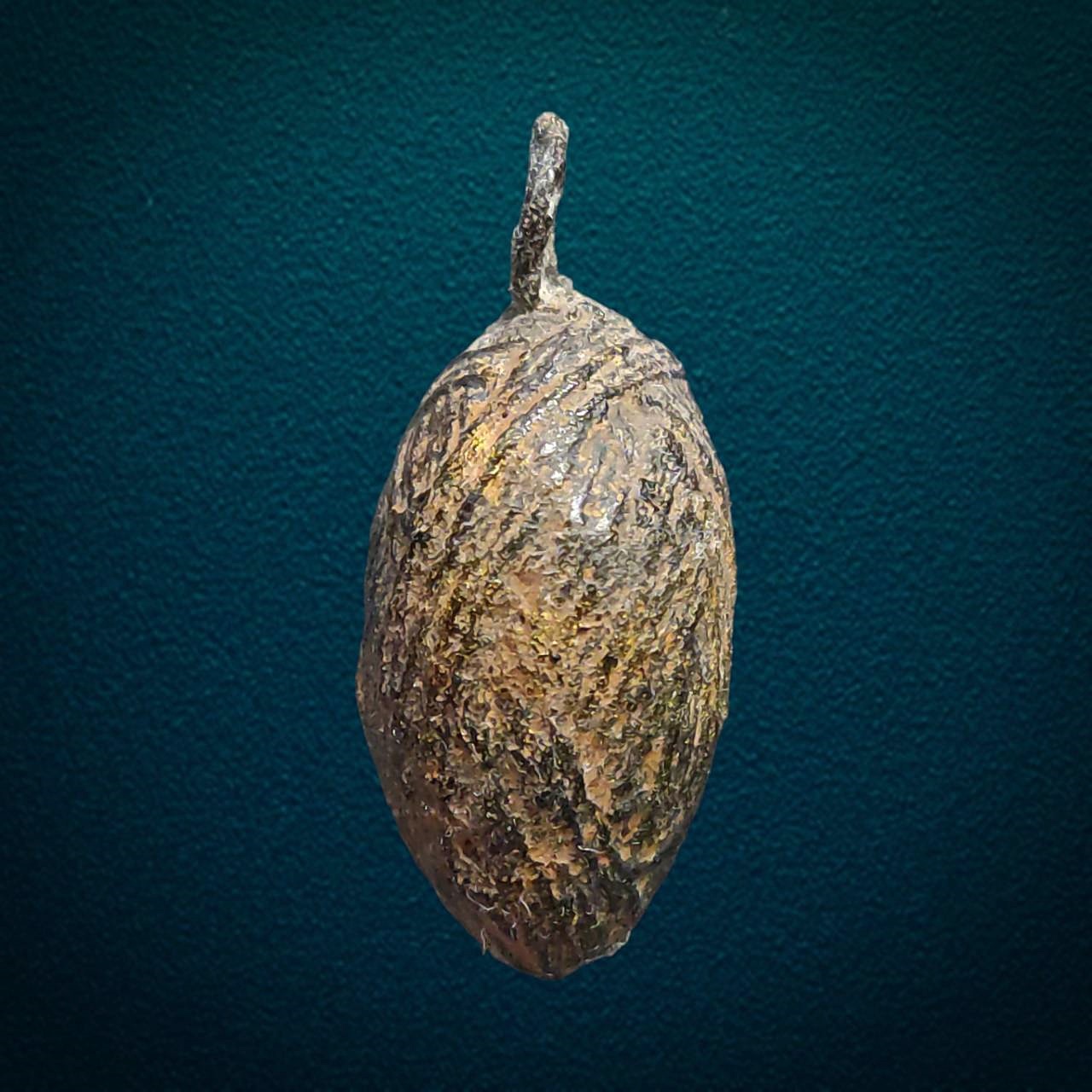 หมากทุยเก่า ลงรัก ไม่ทราบที่ หมากทุยดีทางแคล้วคลาด คงกระพัน และมหาอุตม์