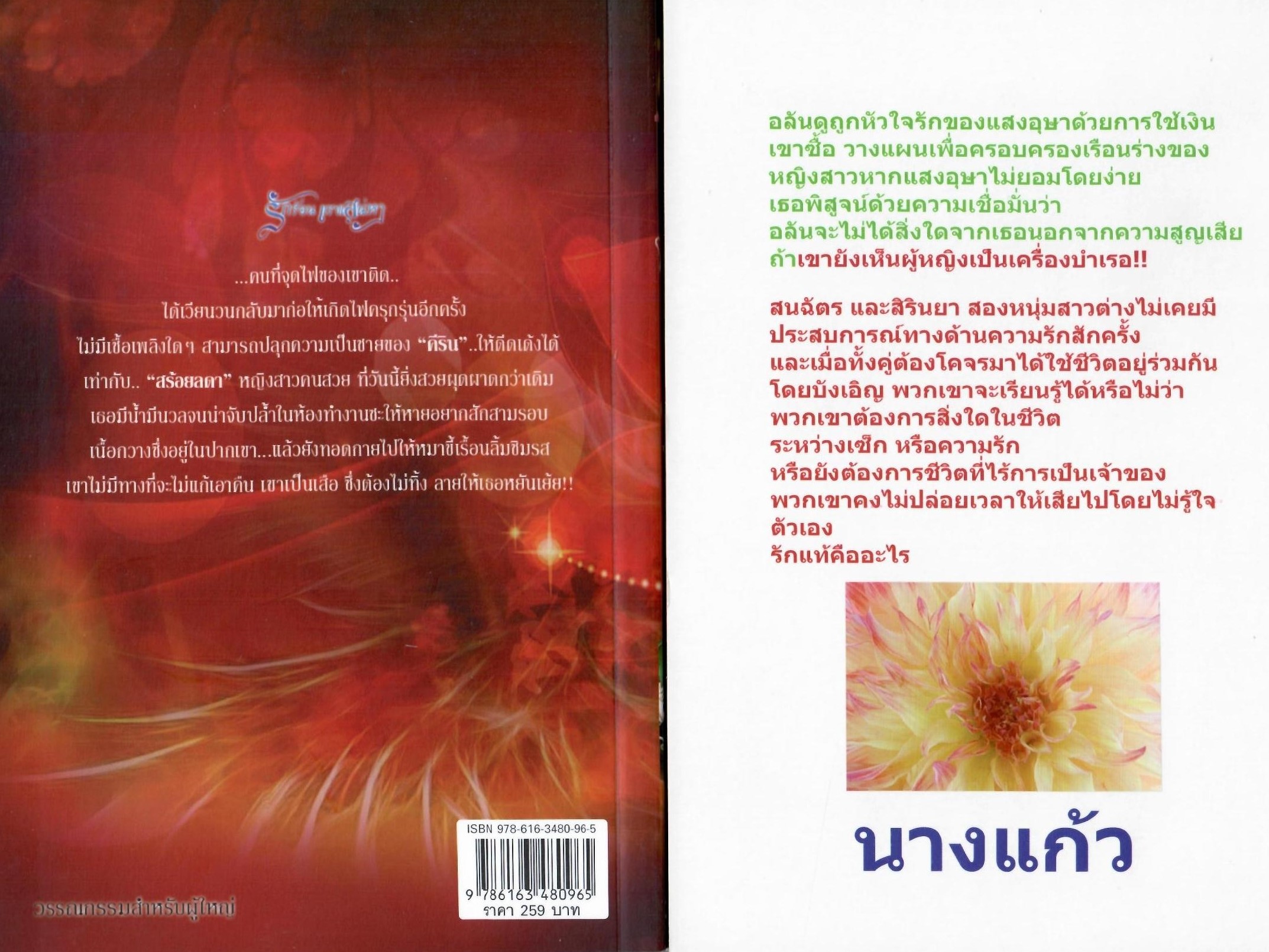 รักร้อน แรงเสน่หา ภาค 1 + 2 ( ภาคจบ ) ( NC25 +) / นางแก้ว ( ทำมือ ใหม่ )