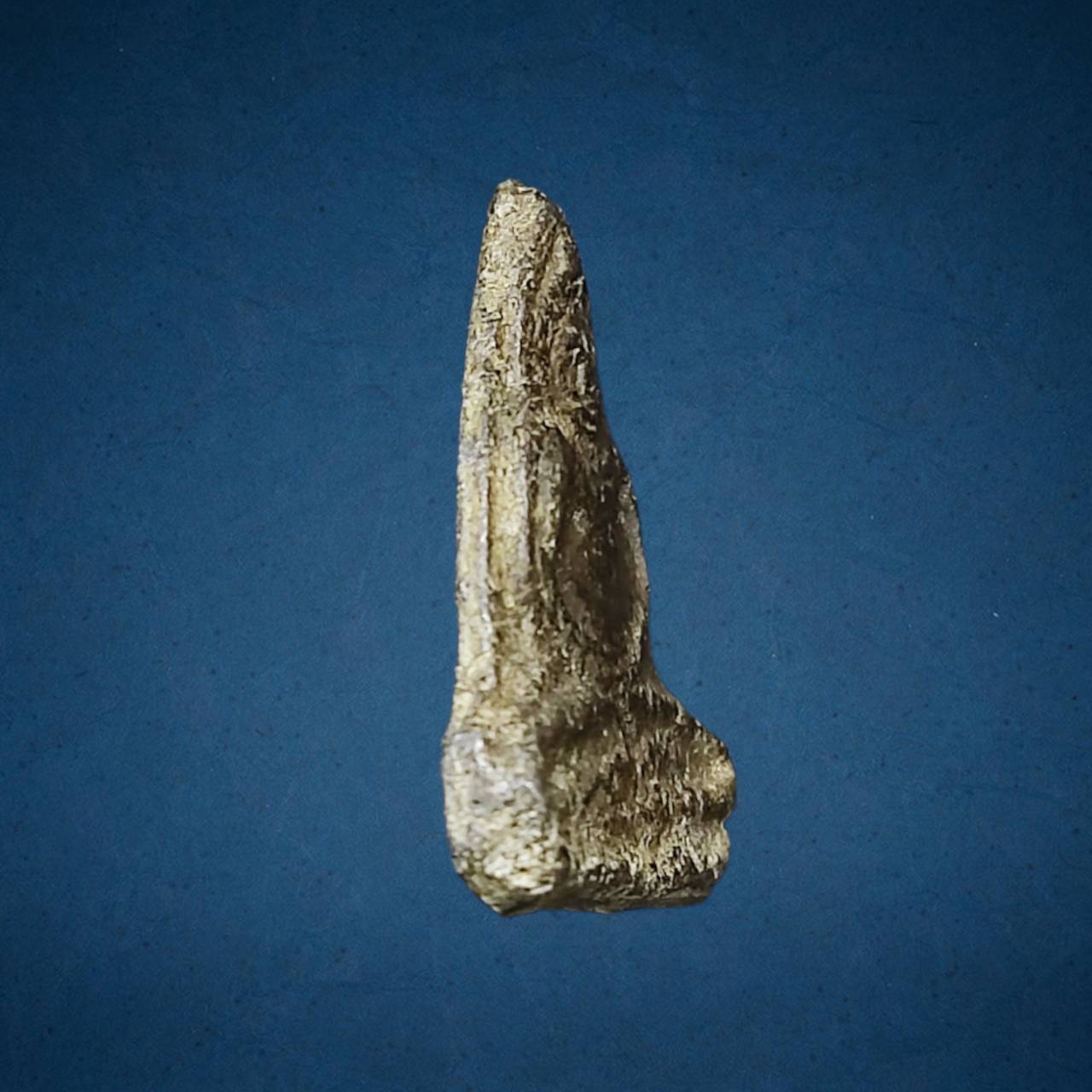 พระร่วงนั่งคางเครา กรุงบางขลัง สุโขทัย เนื้อชินเงิน