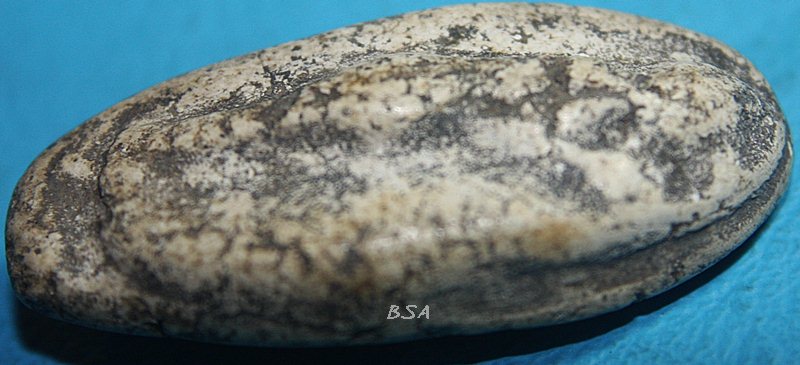 พระสมเด็จ วัดพลับ พิมพ์วันทาเสมา