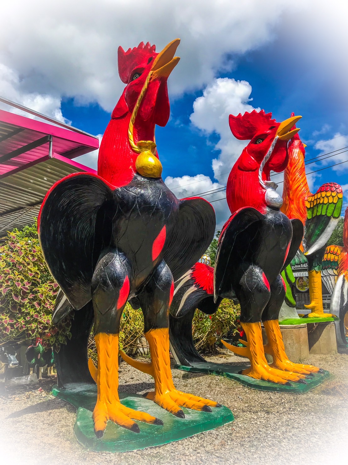 ไก่ปูนปั้นถวายแก้บน-ขอพรตาไข่วัดเจดีย์ ขนาด3.5 เมตร