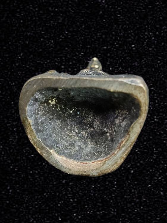 รูปหล่อหลวงปู่ธูป วัดแคนางเลิ้ง กทม. หน้าตักประมาณ 1 นิ้ว