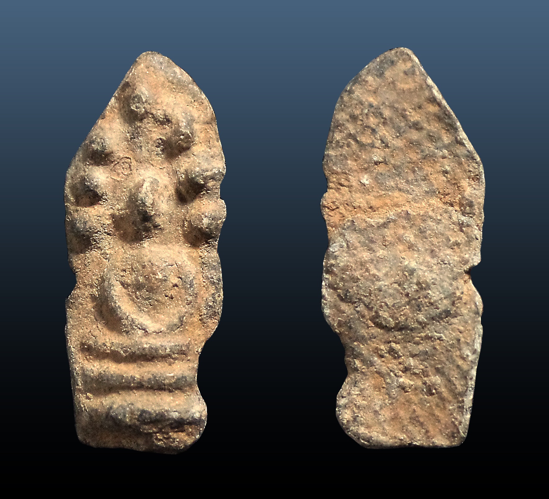 พระพิจิตรนาคปรก เนื้อชิน