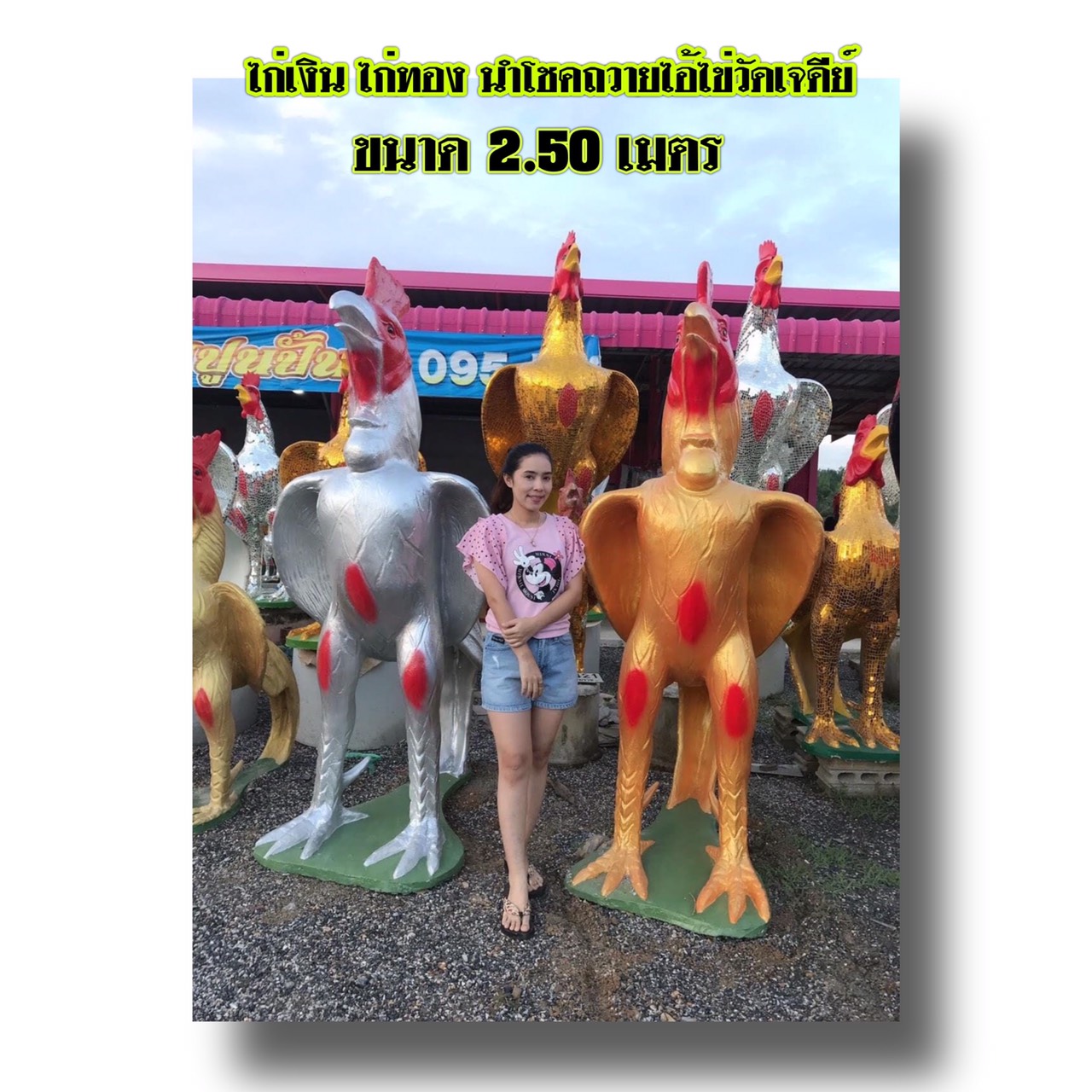 ไก่ปูนปั้นแก้บนตาไข่ที่วัดเจดีย์ ขนาด2.5เมตร