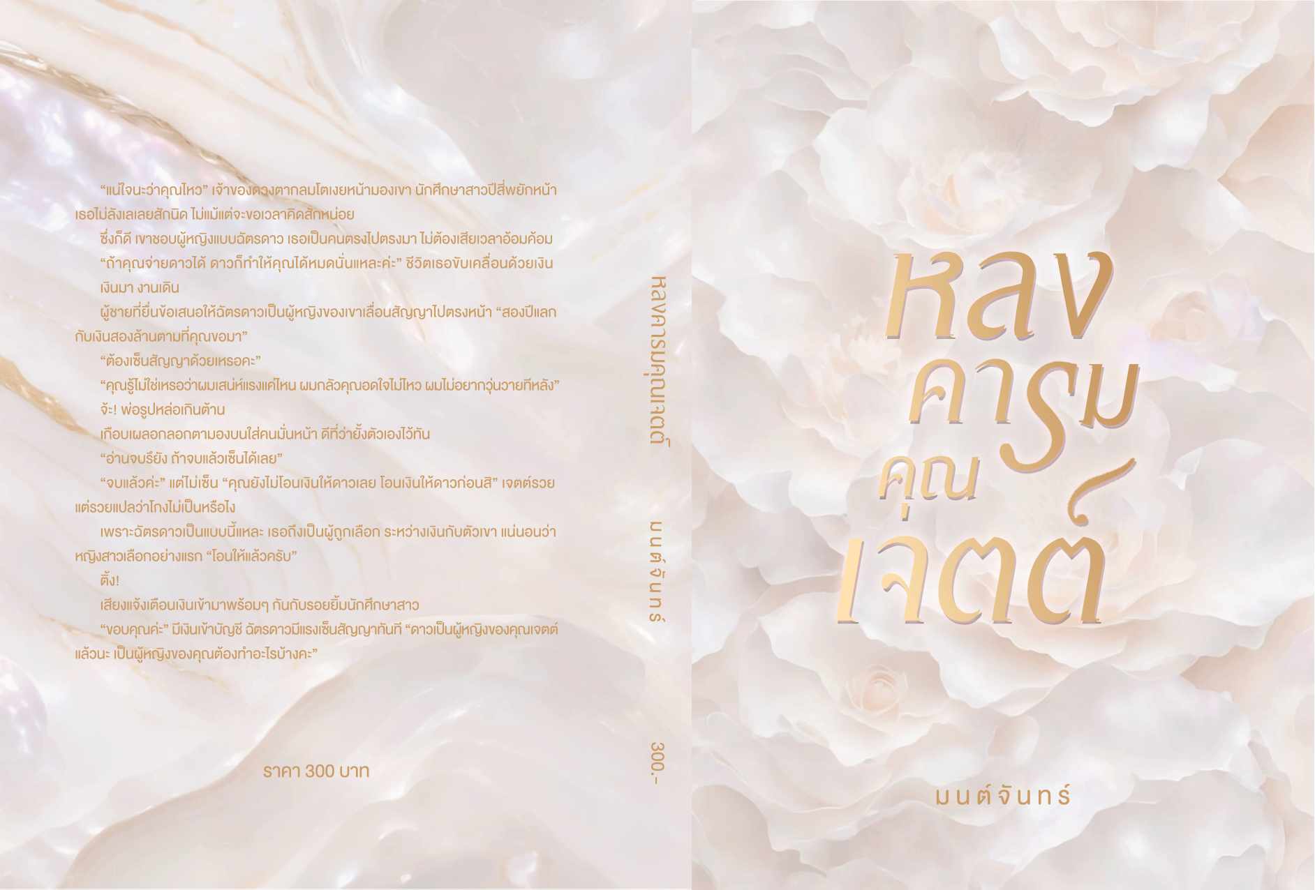 หลงคารมคุณเจตต์ แถมกระเป๋าน่ารักๆ / มนต์จันทร์ (หนังสือทำมือ ใหม่ )