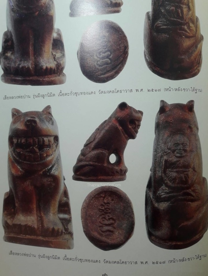 เสือหลวงพ่อปาน รุ่นฝังลูกนิมิต วัดมงคลโคธาวาส (วัดบางเหี้ย) ต.คลองด่าน บางบ่อ จ.สมุทรปราการ ปี2517 เนื้อตะกั่ว ชุบทองแดง