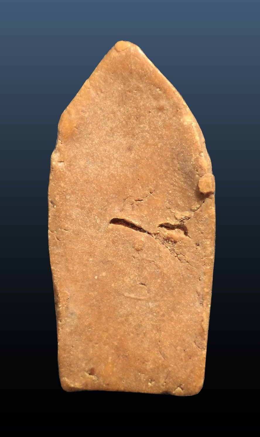 พระนาคปรกเนื้อผงน้ำมัน หลวงปู่จันทร์ วัดนางหนู ลพบุรี ปี2494