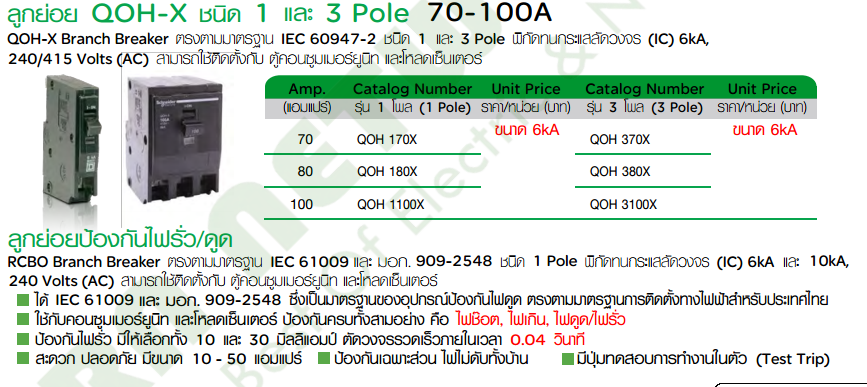 ลูกเบรกเกอร์ย่อย 3P 10-100A "Schneider"