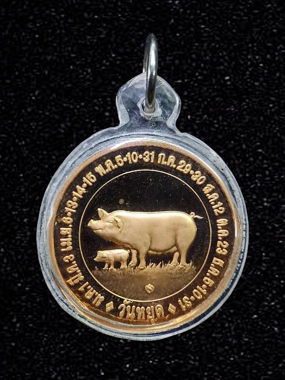 เหรียญหมู เหรียญวันหยุด วันอาทิตย์ ประจำปี2550