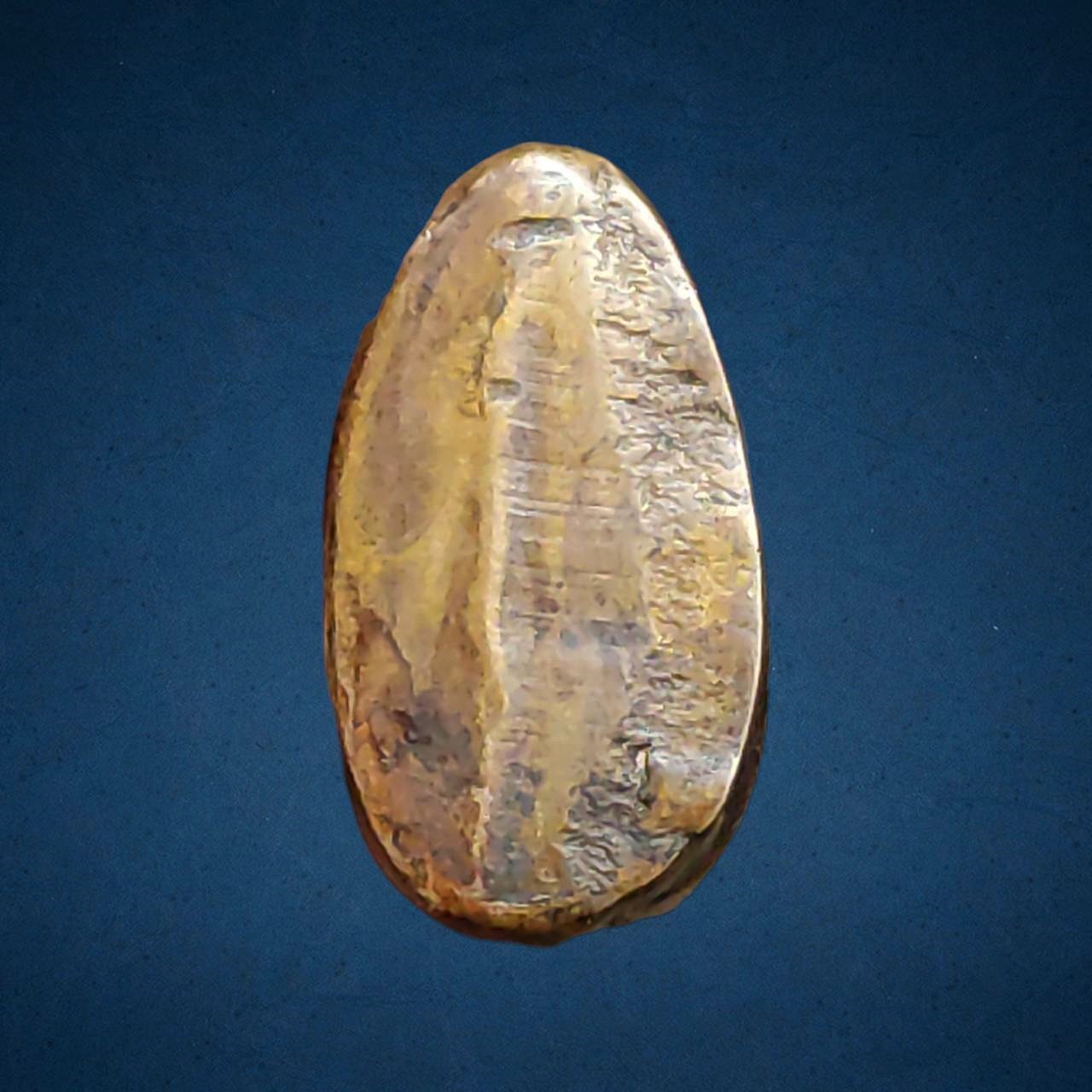 รูปหล่อ เสือโลหะ ไม่ทราบที่