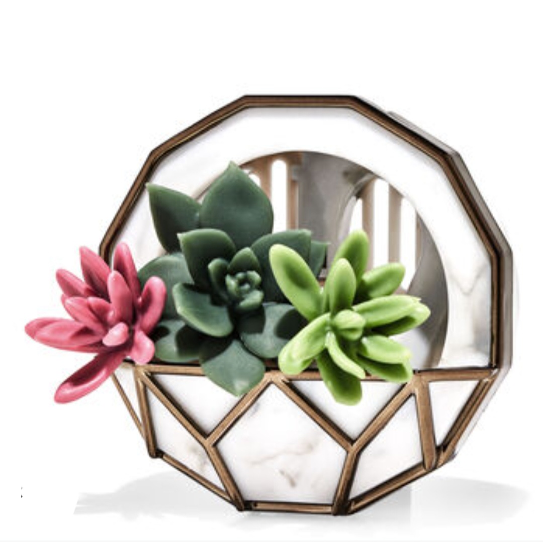 Wall Planter