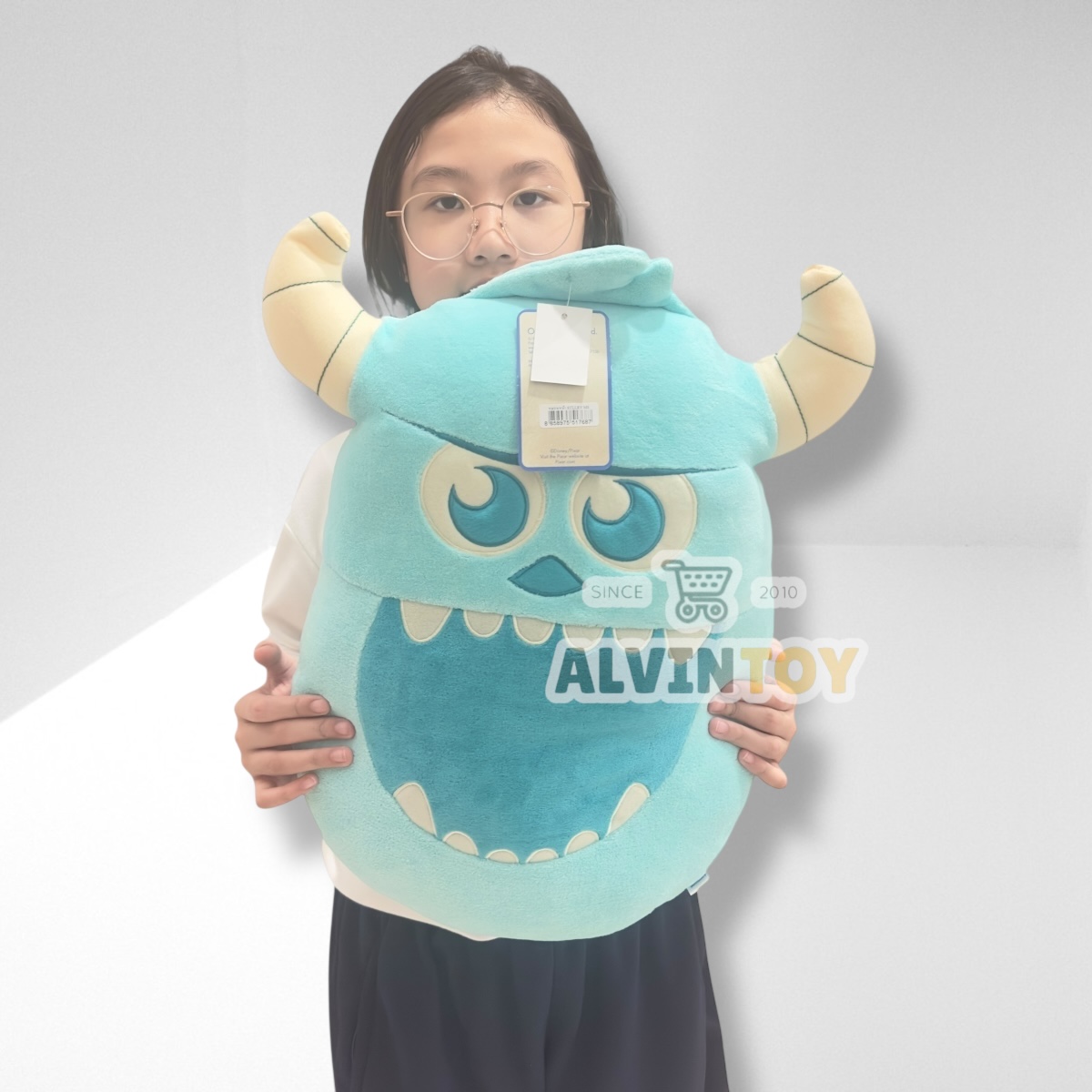 หมอนหน้าซัลลี่ ซัลลิแวน