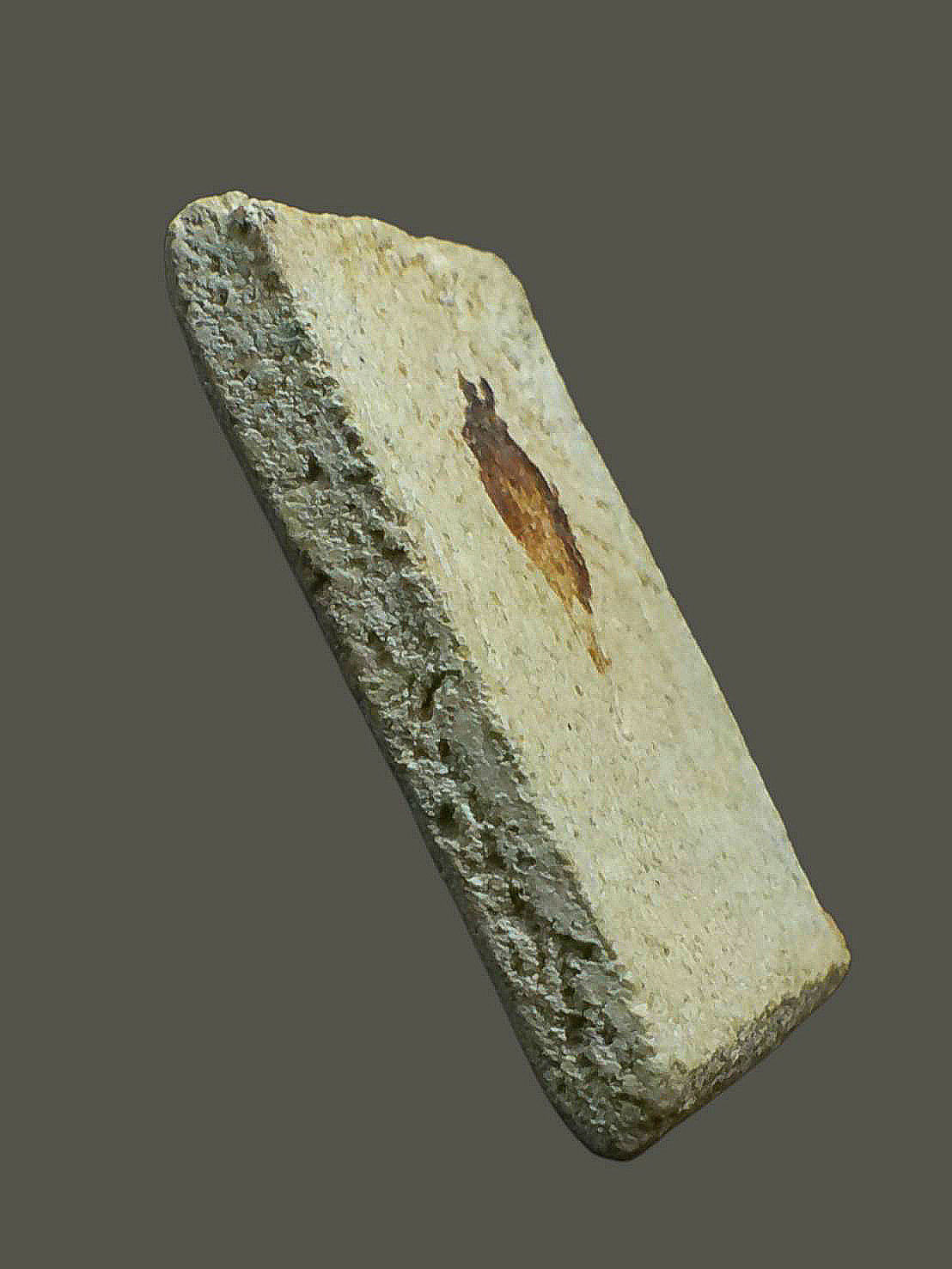 พระสมเด็จ ก-ข ยุคต้น ท่านเจ้าคุณเที่ยง วัดระฆังโฆสิตาราม กรุงเทพฯ