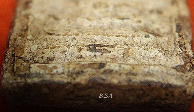 พระสมเด็จ บางขุนพรหม พิมพ์ปรกโพธ์