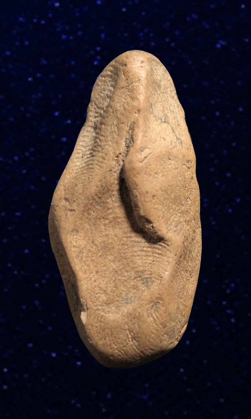 นางกำแพงกลีบบัว เนื้อดิน กำแพงเพชร