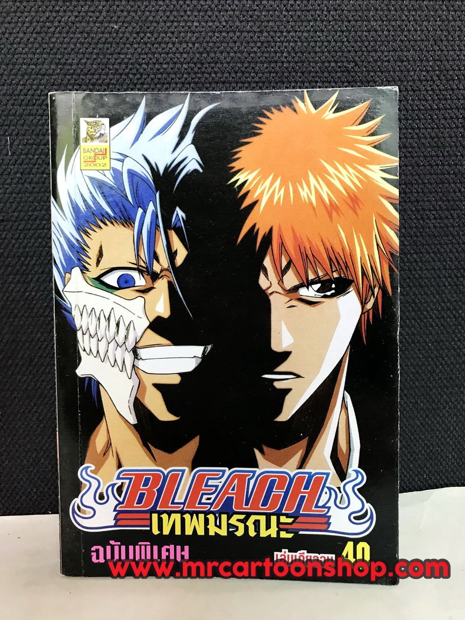 Bleach ฉบับพิเศษ เล่มเดียวจบ