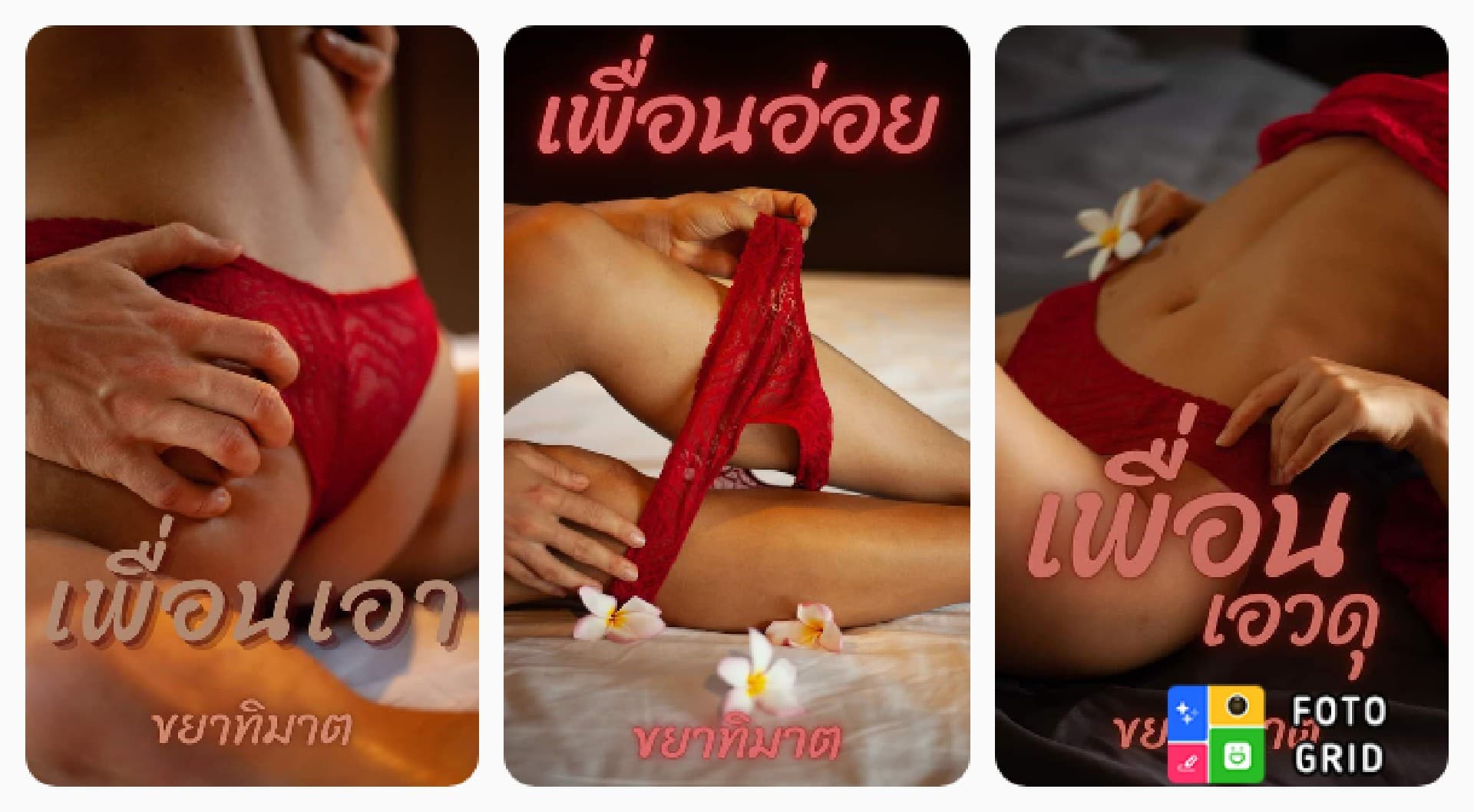 ชุดเพื่อนที่แปลว่าที่รัก ( 3 เรื่องสั้น 1 เล่ม) (NC25+) / ขยาทิมาต ( ทำมือใหม่ แถมฟรี ปกพลาสติกใส )