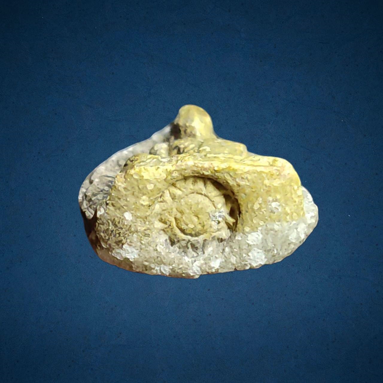 พระผงรูปเหมือนใบโพธิ์ ท่านเจ้าคุณนรฯ วัดเทพศิรินทร์ กทม