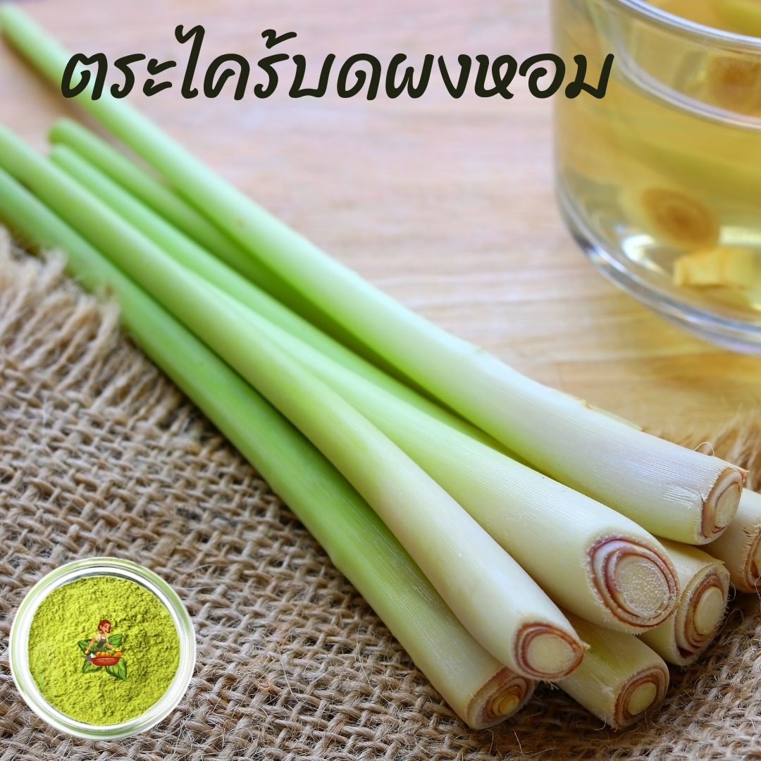 ตระไคร้ บดผง ขนาด 100กรัม 250กรัม 500กรัม 1กิโลกรัม