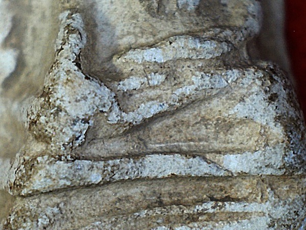 พระรอดพิมพ์ใหญ่ เนื้อขาวดินศิลาธิคุณผสมดินขาว