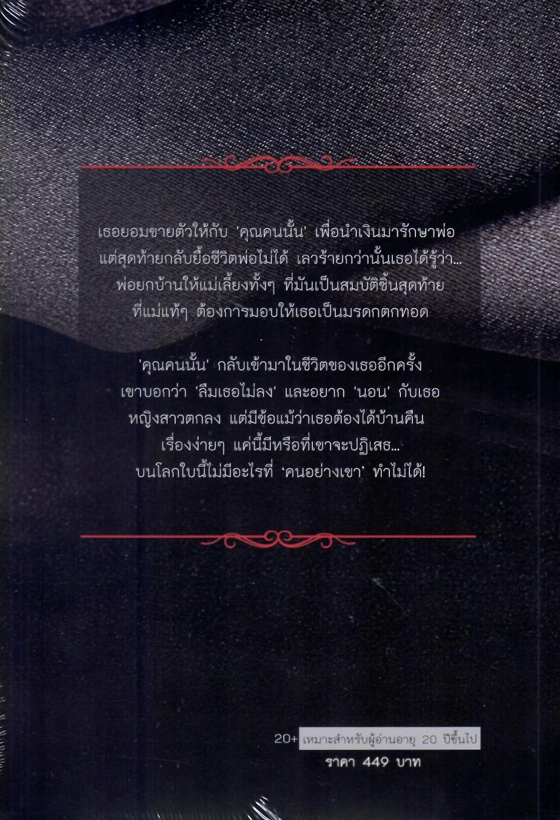 ถึง...คุณที่แสนร้าย’ (ชุดเดียวกับเรื่อง ‘เรียน...ท่านประธานสุดที่ร้าย) (NC20+) / ฉัตรฉาย (ทำมือ – ใหม่ ปกพลาสติกใส.)