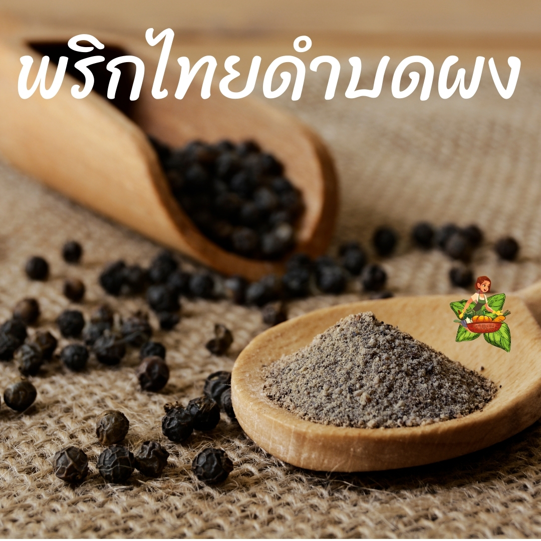พริกไทยดำบดผง ขนาด 100กรัม 250กรัม 500กรัม 1กิโลกรัม