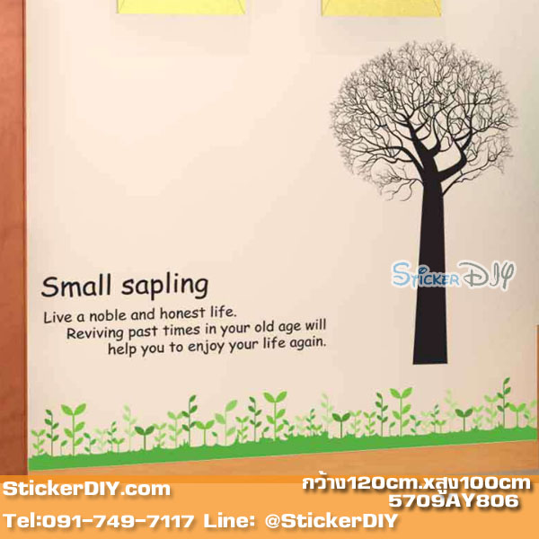 Transparent Wall sticker สติ๊กเกอร์ติดผนัง Small sapling (กว้าง120cm.xสูง100cm.)