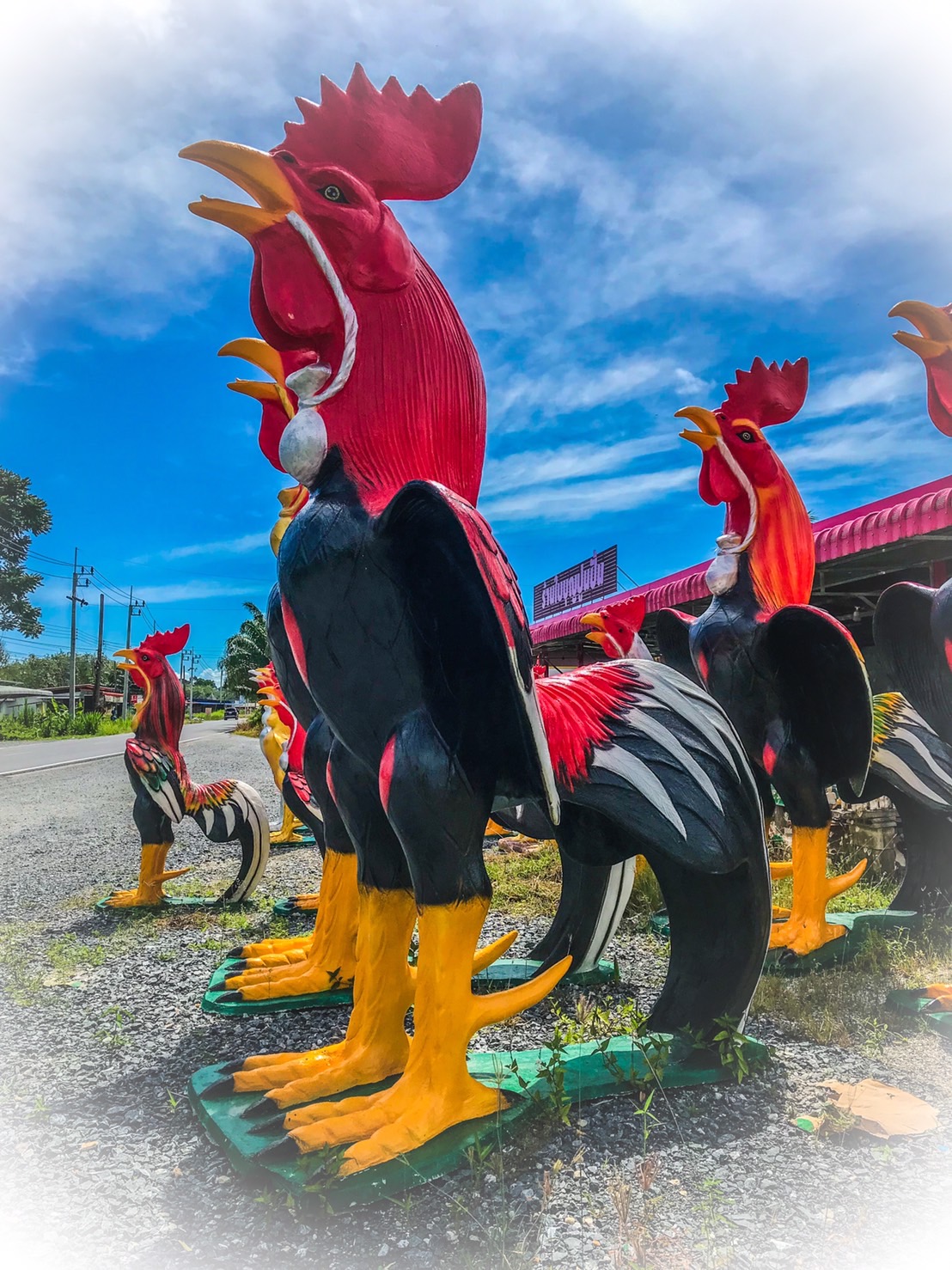 ไก่ปูนปั้นถวายแก้บน-ขอพรตาไข่วัดเจดีย์ ขนาด3.5 เมตร