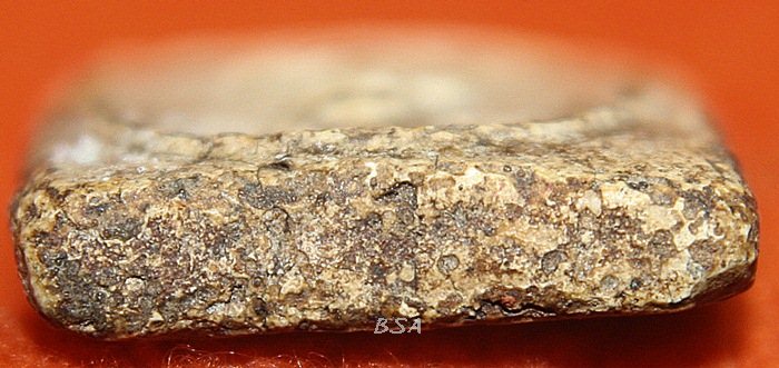 พระสมเด็จ บางขุนพรหม พิมพ์ปรกโพธ์